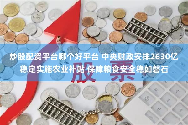 炒股配资平台哪个好平台 中央财政安排2630亿稳定实施农业补贴 保障粮食安全稳如磐石